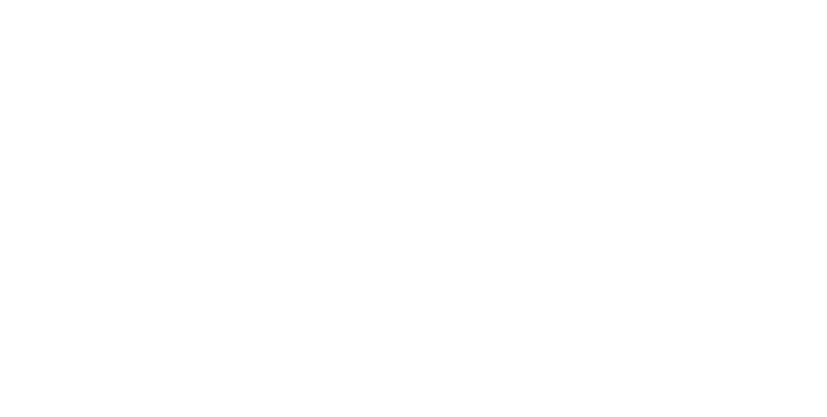 YDKJ Classic wordmark